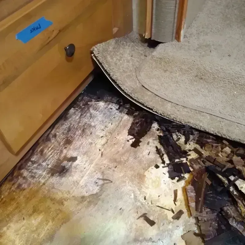 Best Wood Floor Water Damage Service in South Huntington, NY